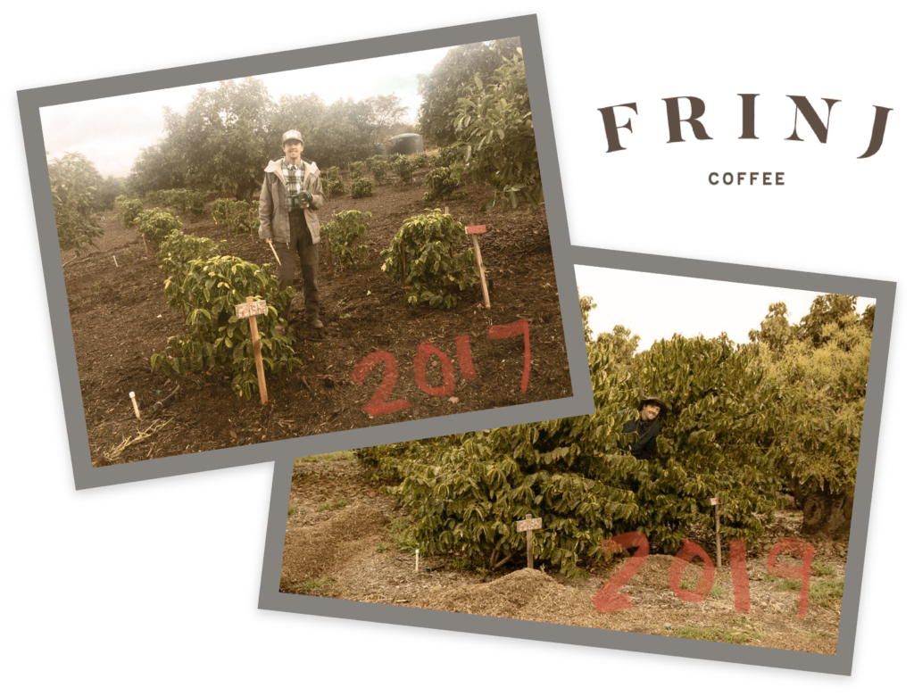 Jason with coffee plants in 2017 and 2019